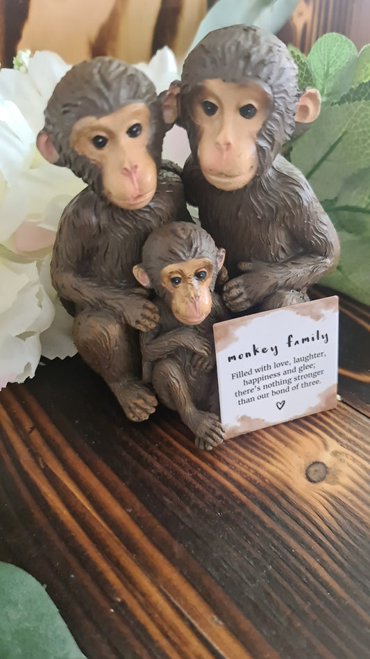 Monkeys family