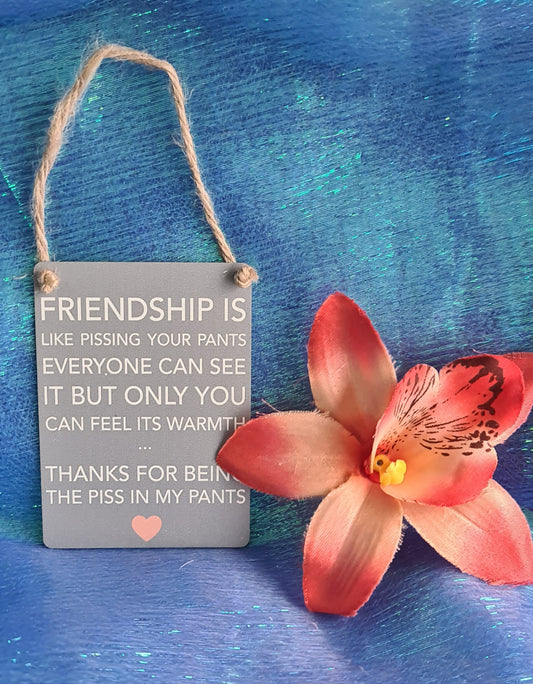 mini metal hanging plaque - FRIENDSHIP