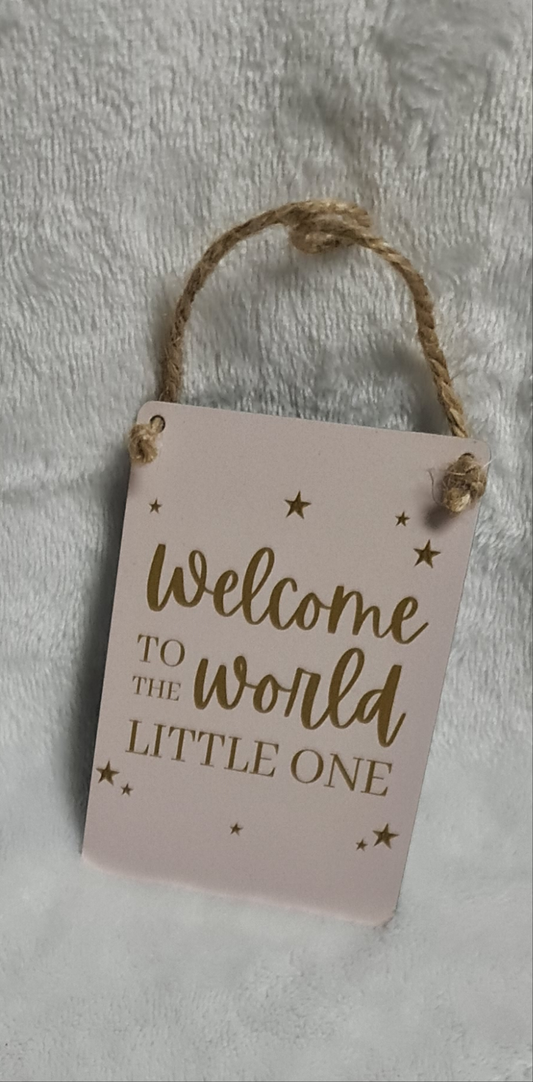 Welcome to the world little one - pink mini plaque