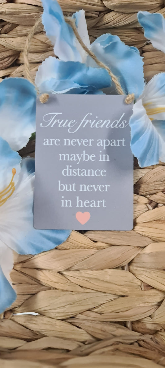 mini metal hanging plaque - TRUE FRIENDS