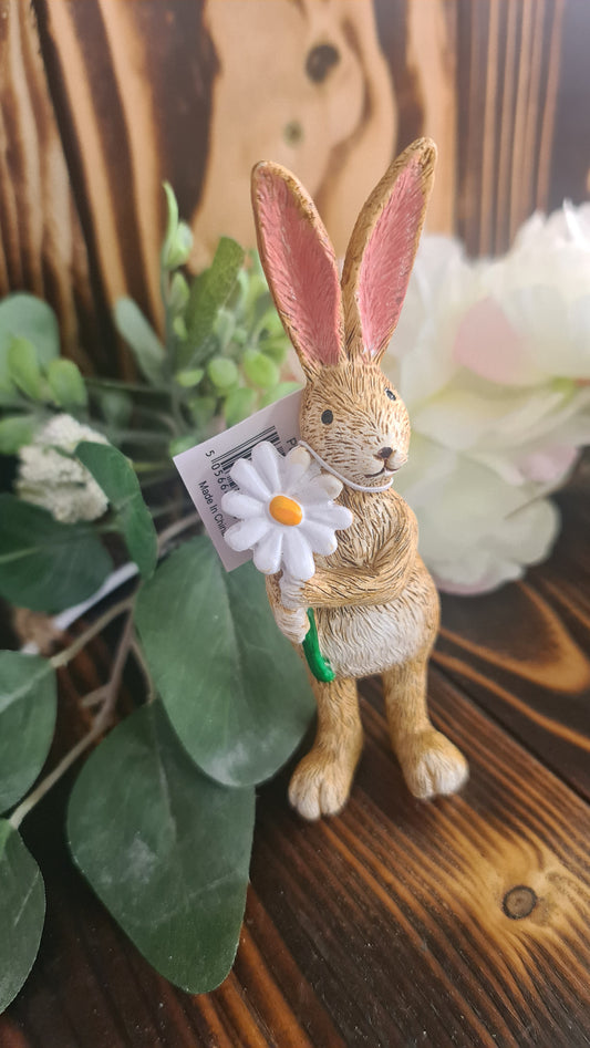 Bunny Holding a daisy