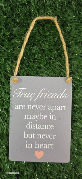 Mini Metal Hanging Plaque reading "TRUE FRIENDS "