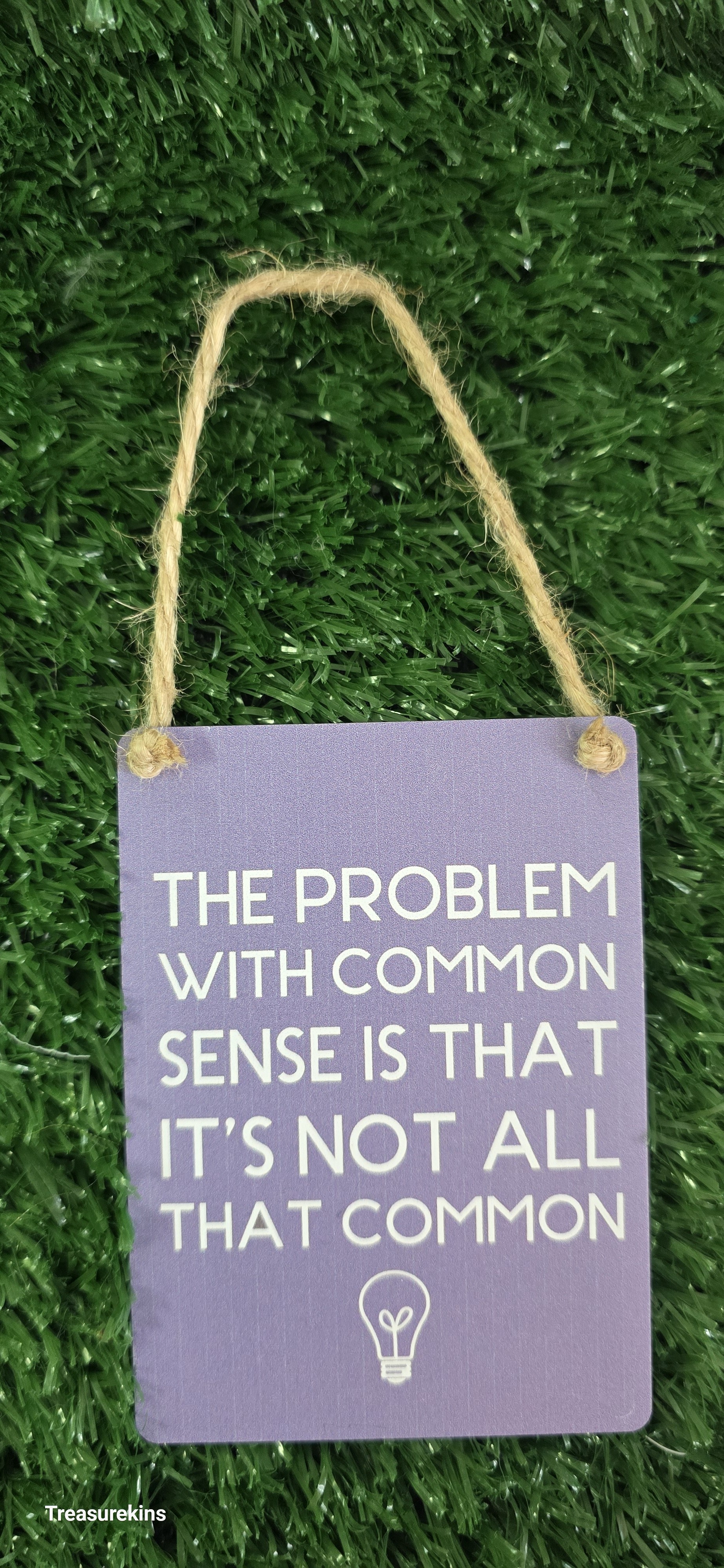 The Problem with common sense Mini Metal Hanging Plaque